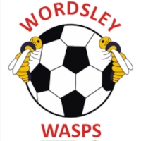 Wordsley Wasps FC